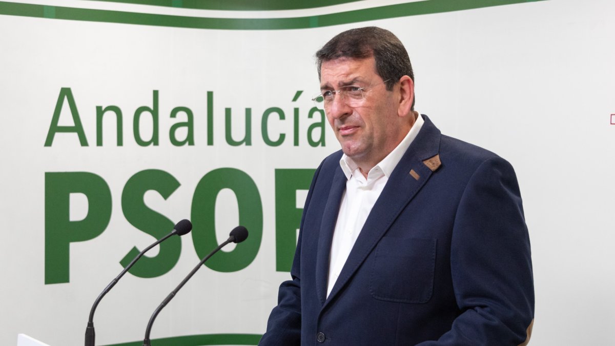 Martín Gerez, portavoz del PSOE de Vera.