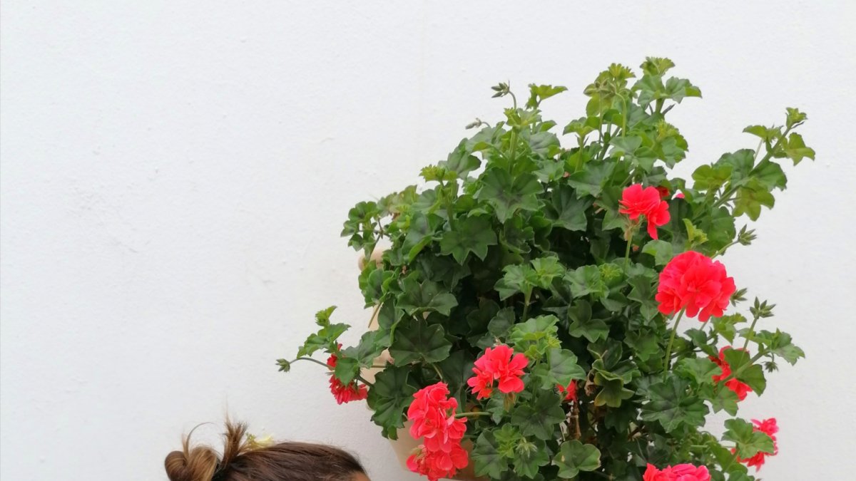 Una visitante huele una de las macetas que cuelgan de las fachadas de las casas en Lucainena de las Torres.