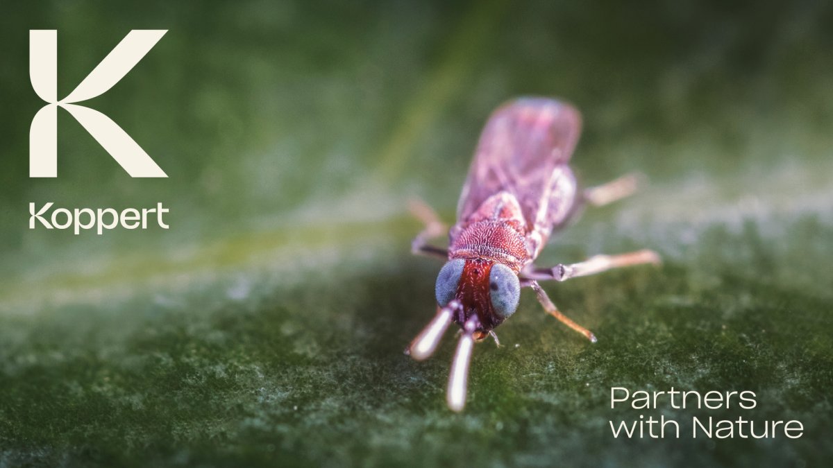Koppert lanza nueva imagen de marca inspirada en la Naturaleza.
