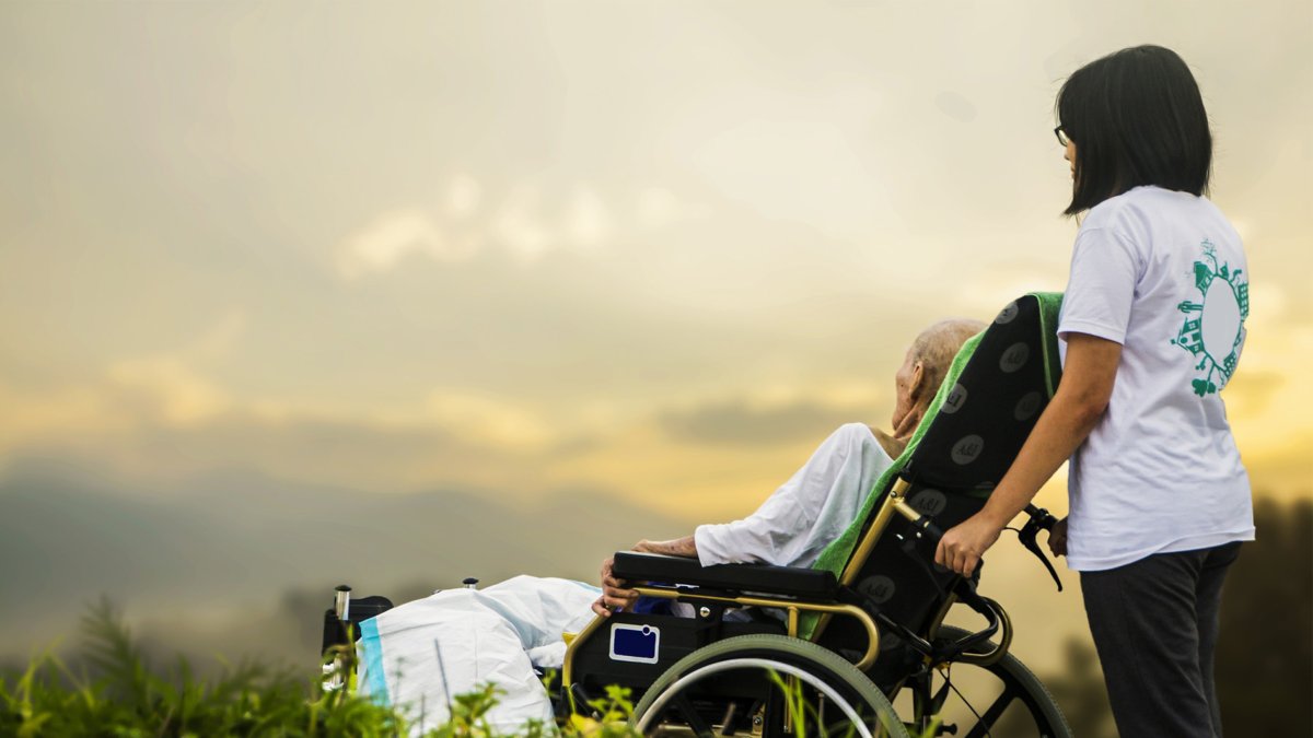 Amplias salidas profesionales.