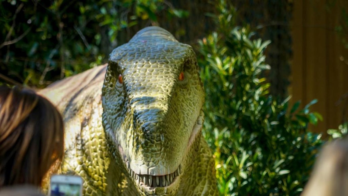 El famoso Tiranosaurio Rex en Aguadulce