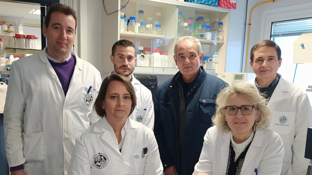 Equipo de investigación que participa en el estudio / Fundación Descubre