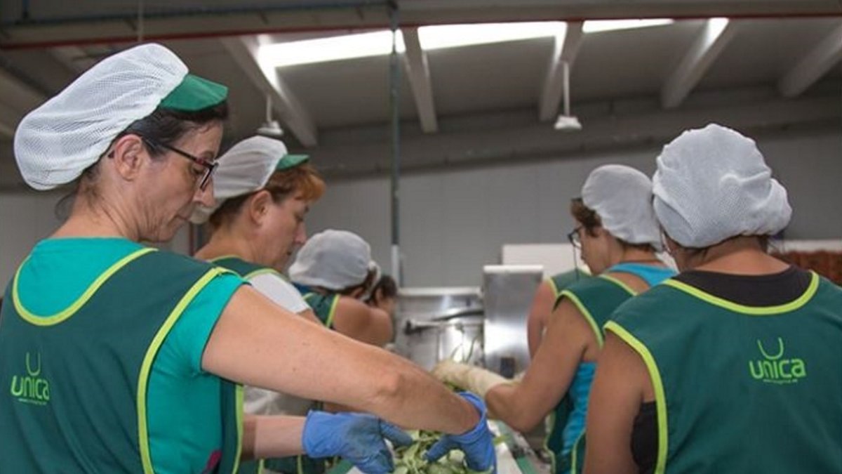 Empleadas de un almacén de la cooperativa Unica Group.