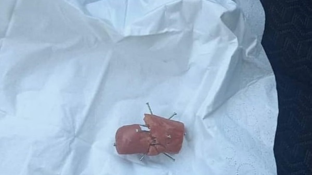 Imagen de la salchicha con alfileres compartida por La Huella Blanca.