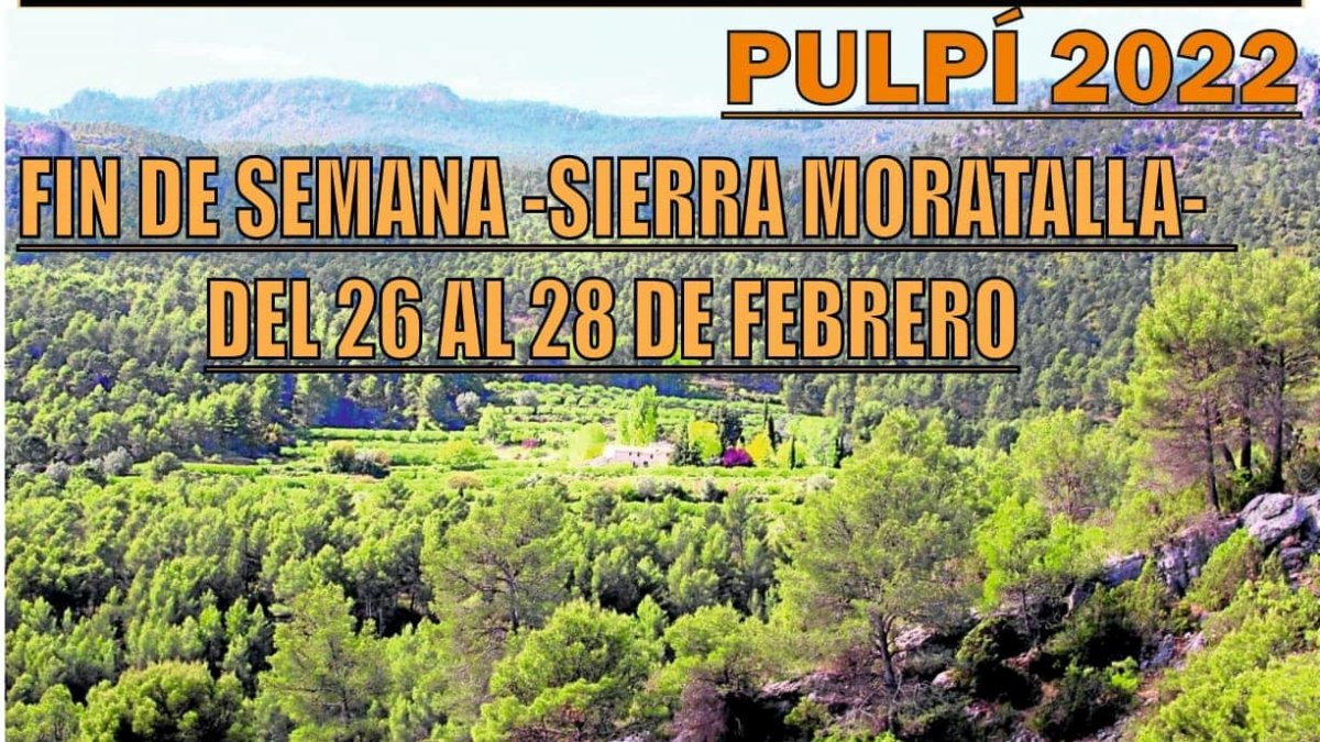 Imagen del cartel pulpileño por las actividades previstas para el puente del Día de Andalucía