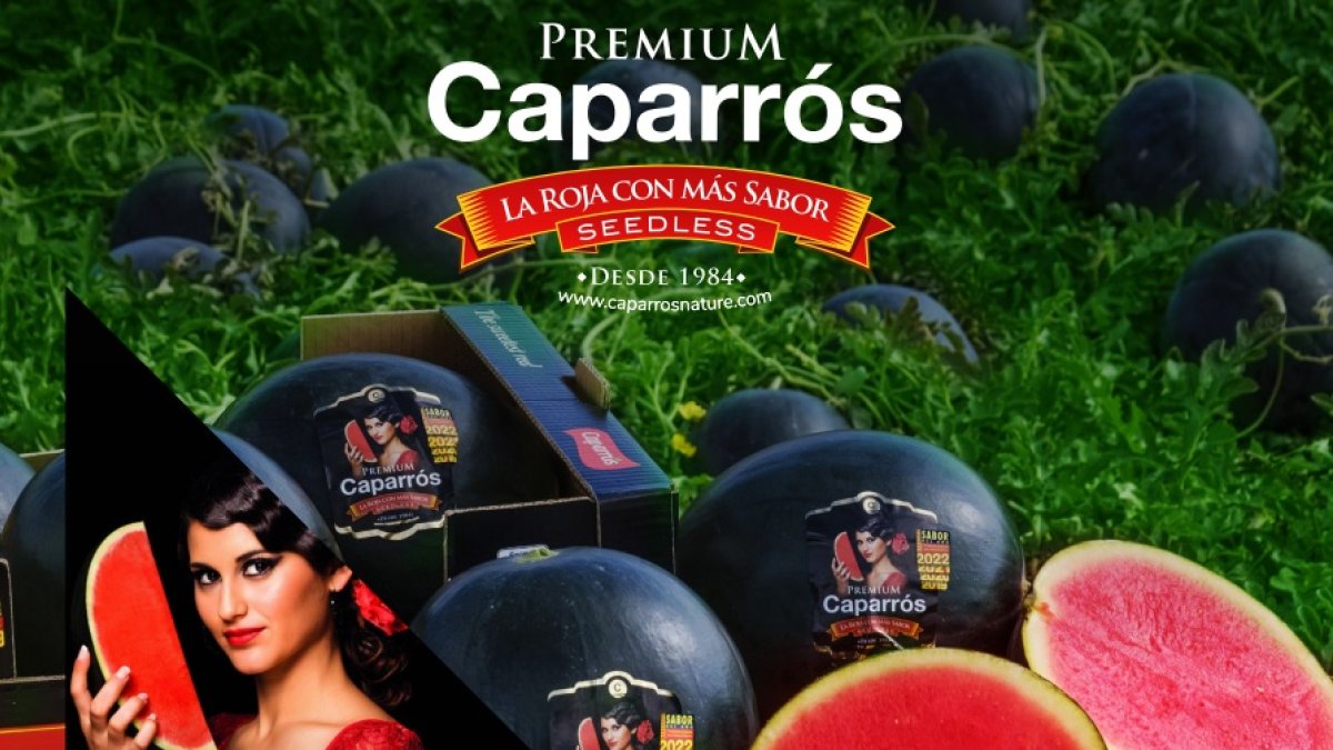 Ilustración del reconocimiento obtenido de nuevo por la Premium de Caparrós