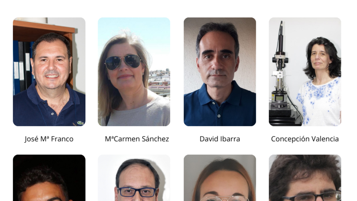 Equipo de investigación que ha participado en el estudio /Fundación Descubre