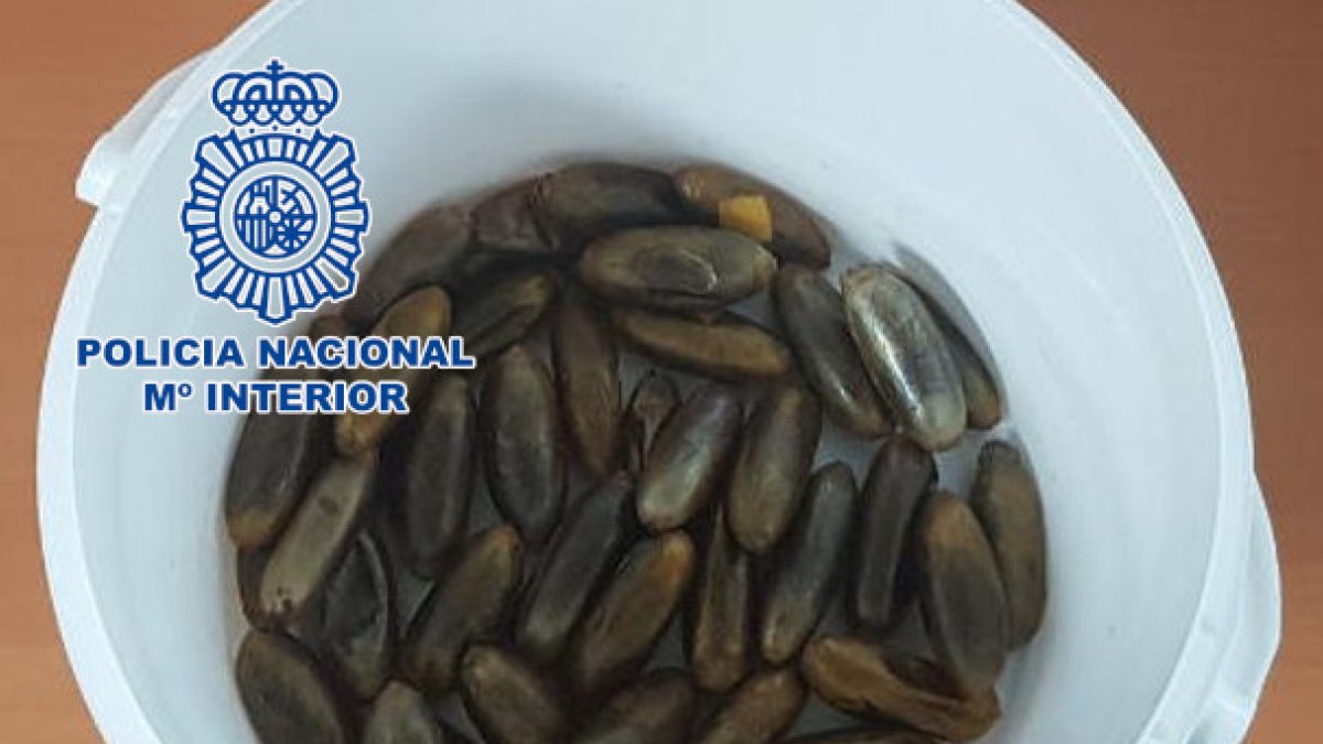 El detenido había ingerido 70 bellotas de hachís.