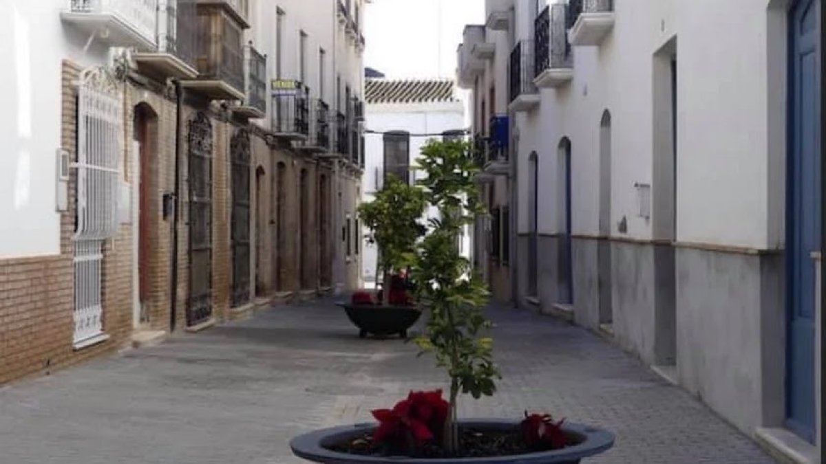 Maceteros instalados en la calle motivo del litigio.
