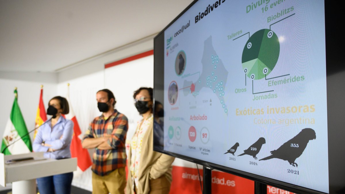 Presentación del balance de actuaciones entre CECOUAL y Ayuntamiento