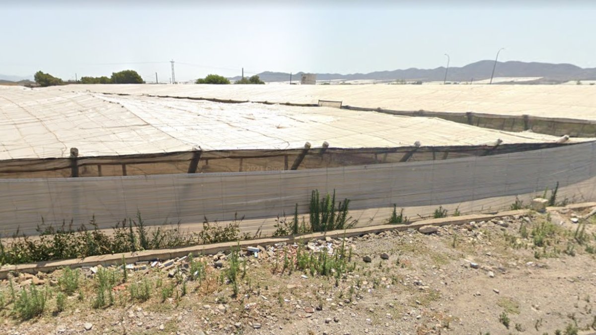 Imagen de una zona de invernaderos del municipio de Níjar.