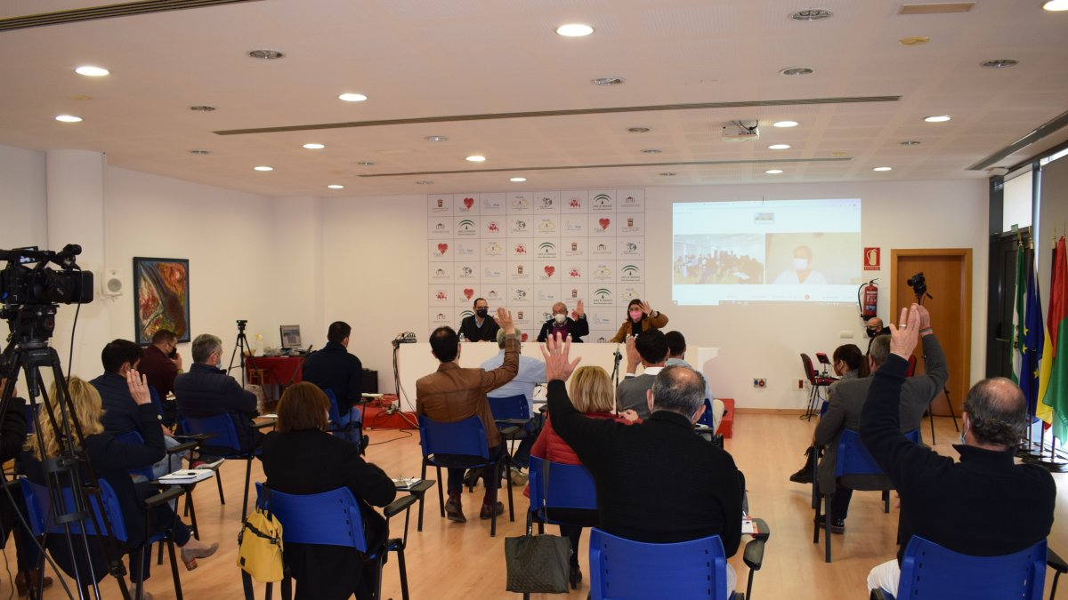 Votación en la última sesión plenaria de Vícar.