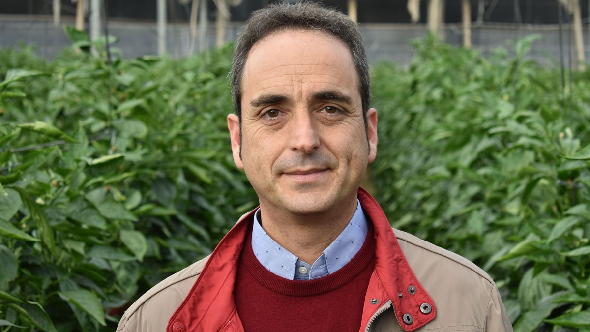 Fernando Paniagua Salvador, presidente del Colegio de Ingenieros Técnicos Agrícolas de Almería.