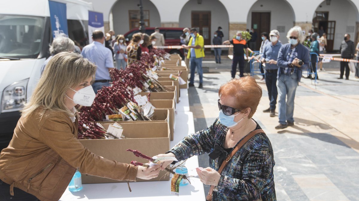 Reparto de parras celebrado el pasado año en Berja