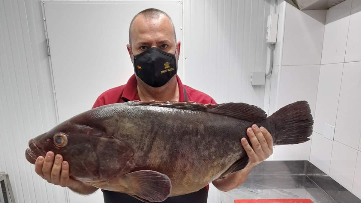 Eusebio Alcázar Lidueña mostrando un mero.