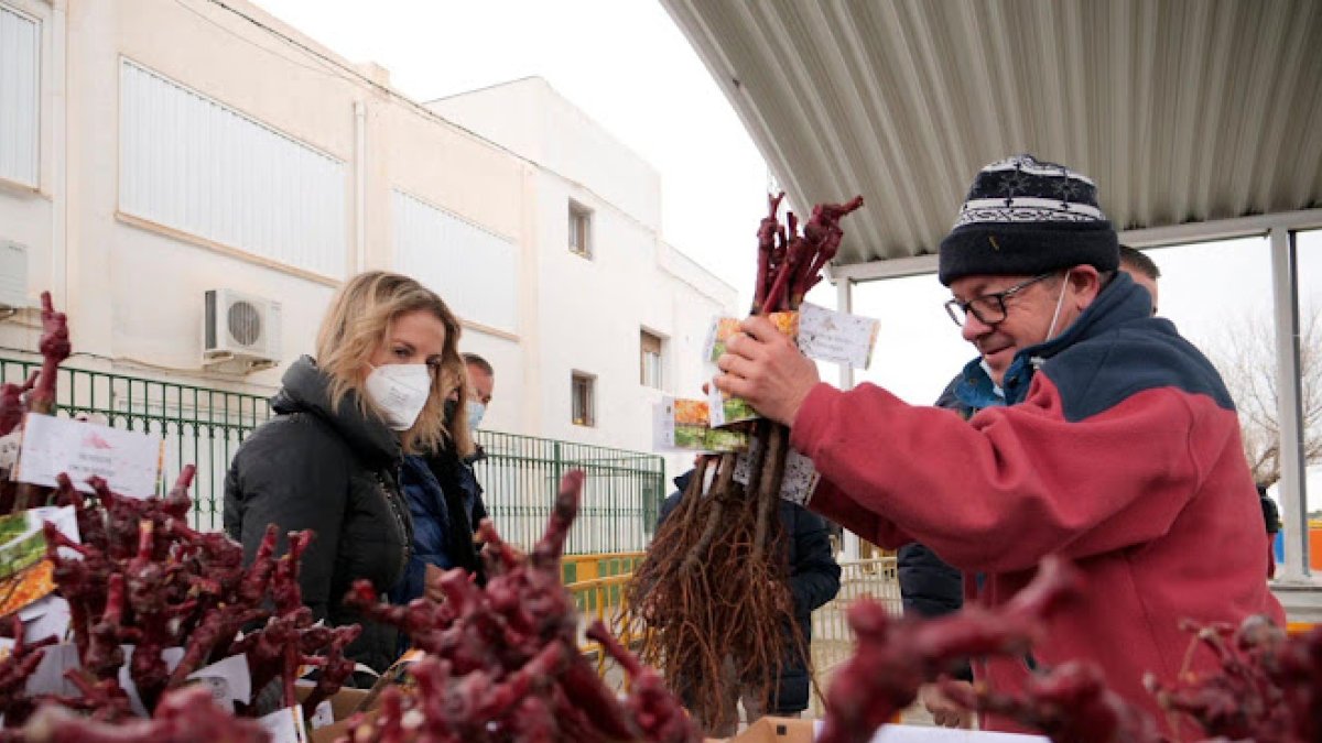 Imagen del reparto de parras en Tíjola el pasado fin de semana.
