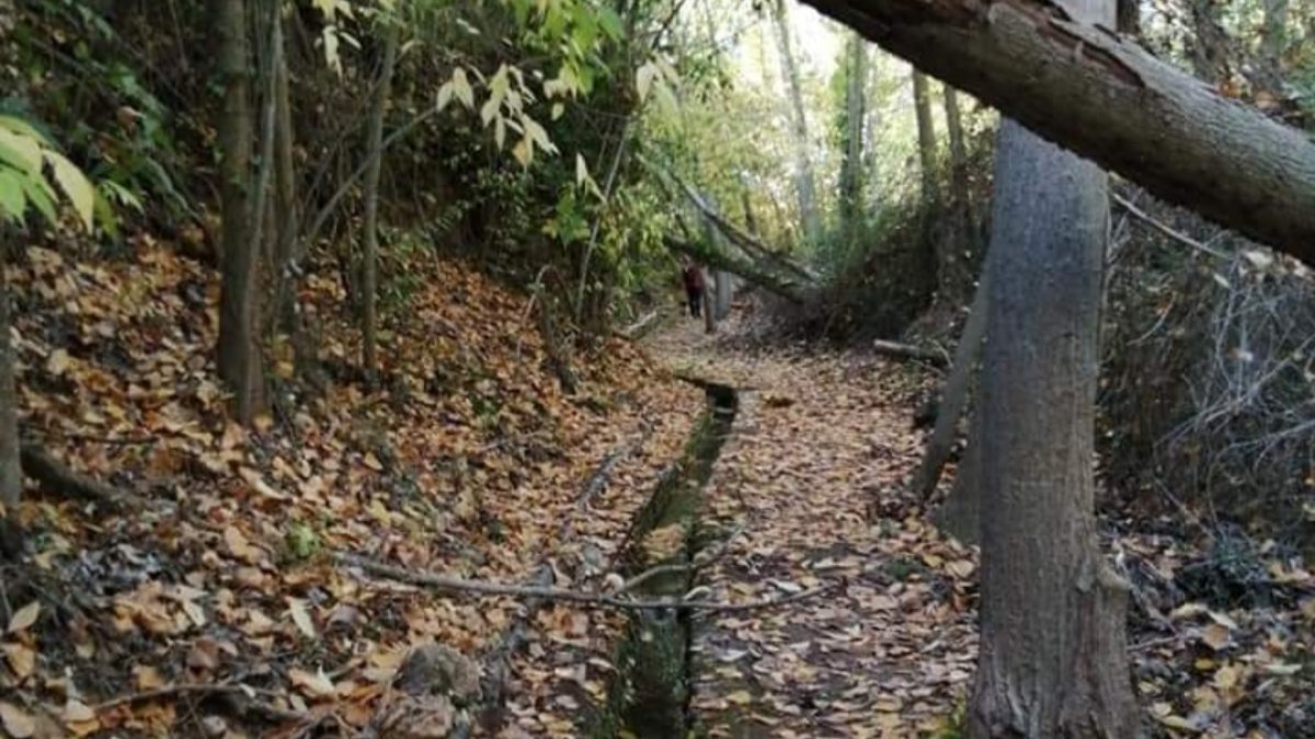Imagen de un sendero en Fondón.