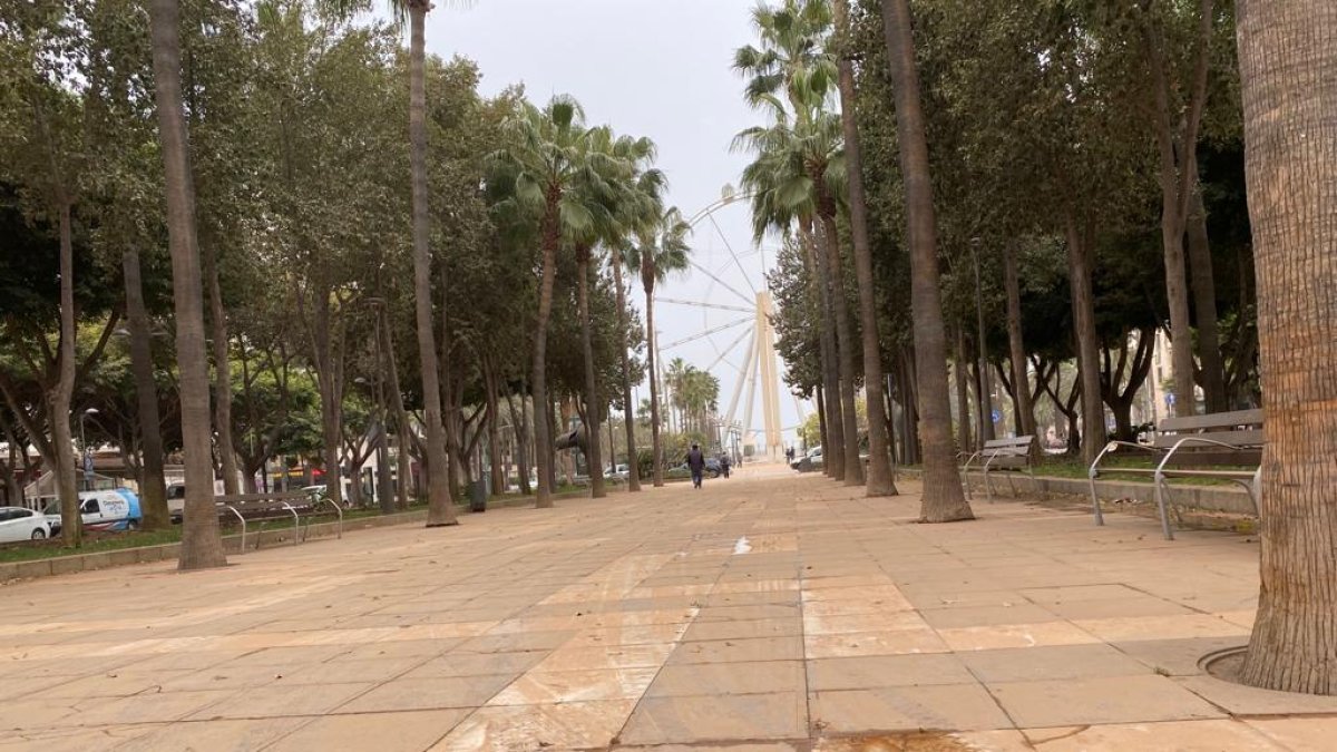 La calima ha dejado la capital cubierta de polvo y barro.