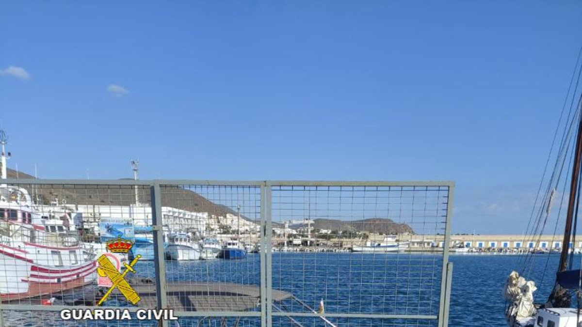 Todos los fardos encontrados por la Guardia Civil.