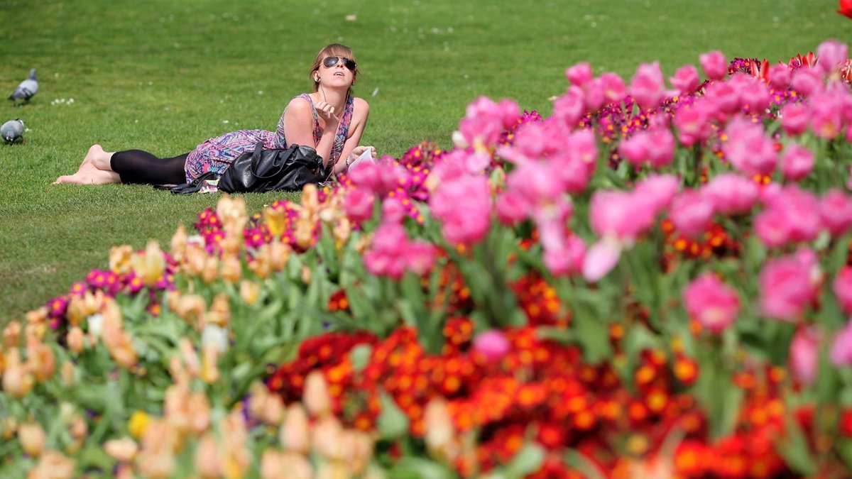 La primavera ya ha llegado.