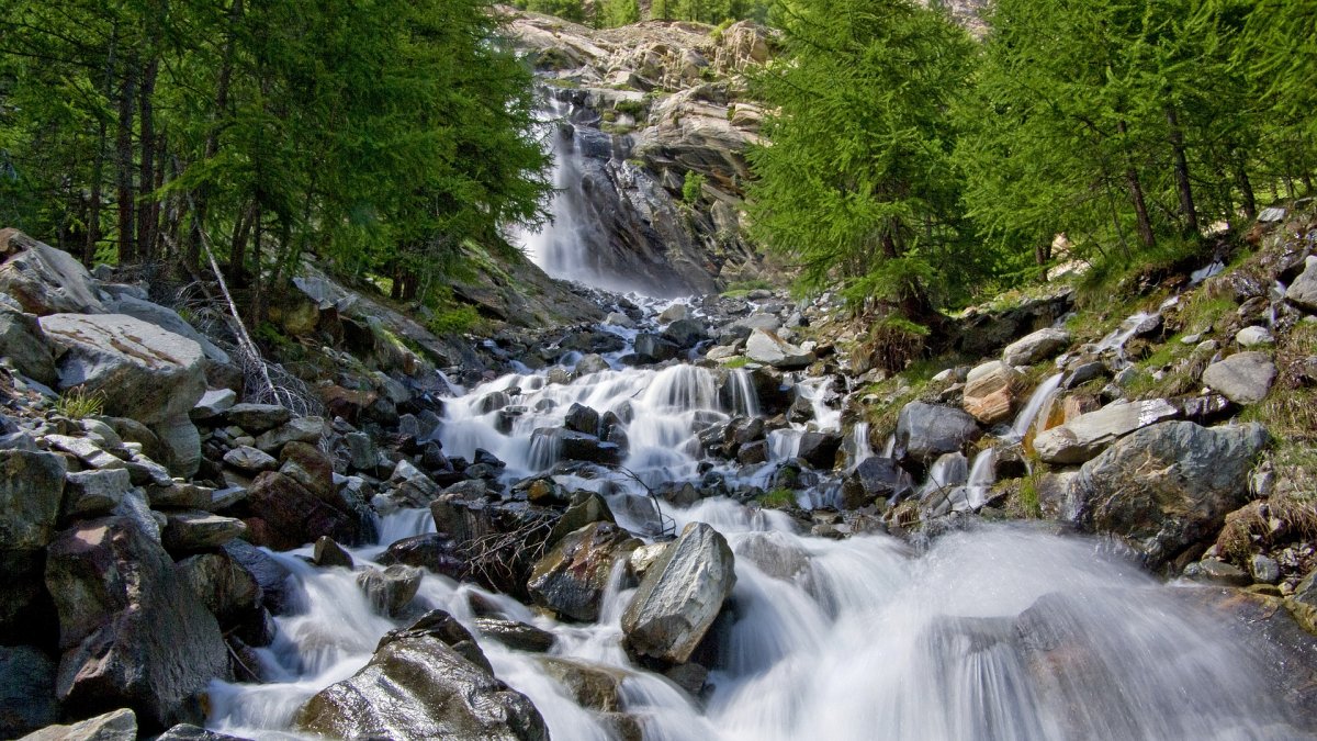 La vida en la Tierra sería inconcebible sin agua.