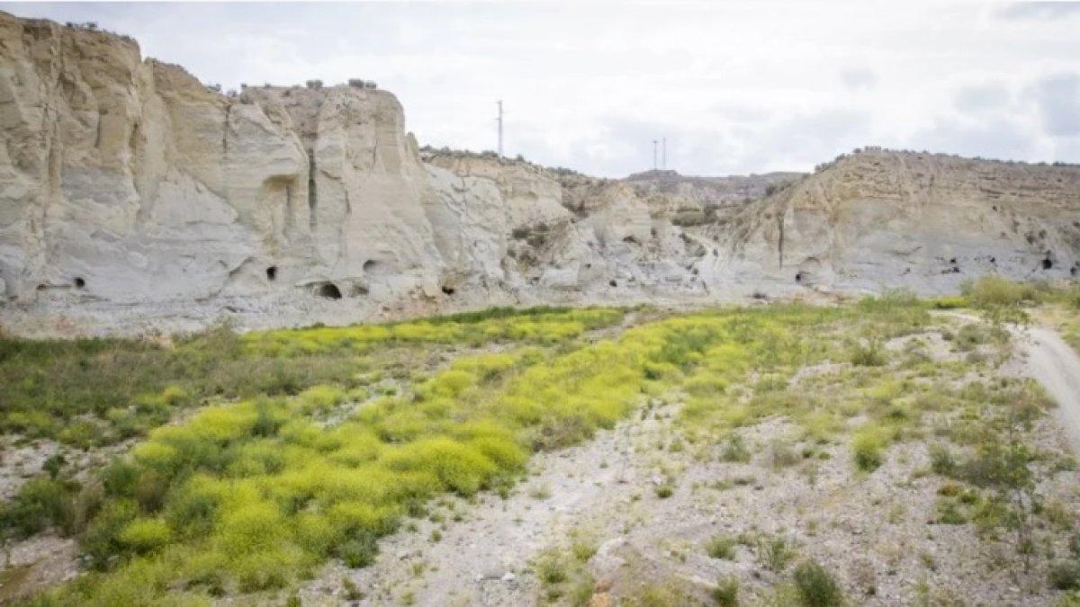 Yacimiento de El Argar en Antas, un patrimonio único en el Levante almeriense.
