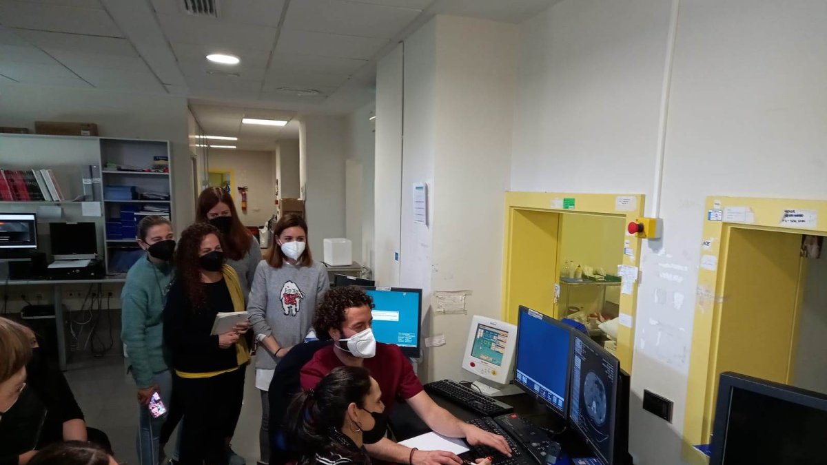 Profesores del IES Albaida en el curso de formación de técnicos de rayos.