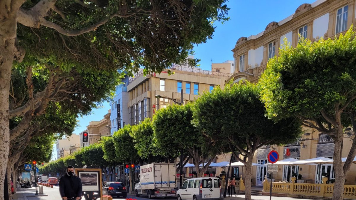 Vista del carril saludable del Paseo de Almería.