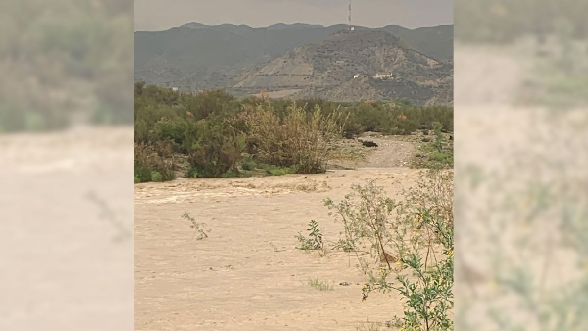 Río Almanzora a su paso por Cañada del Herrero (Zurgena). Foto: María Dolores Águila.