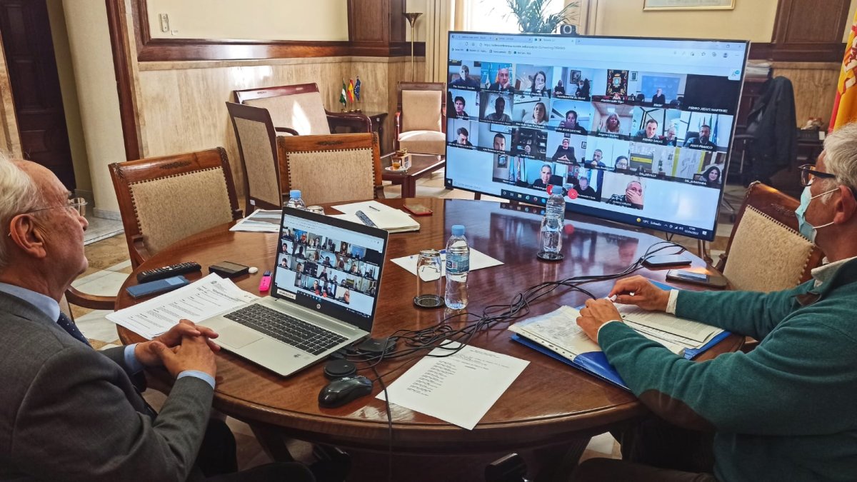 Imagen de la reunión telemática.