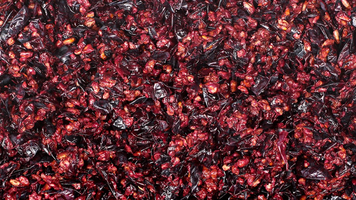 Orujo de uva prensado, pepitas y pieles.