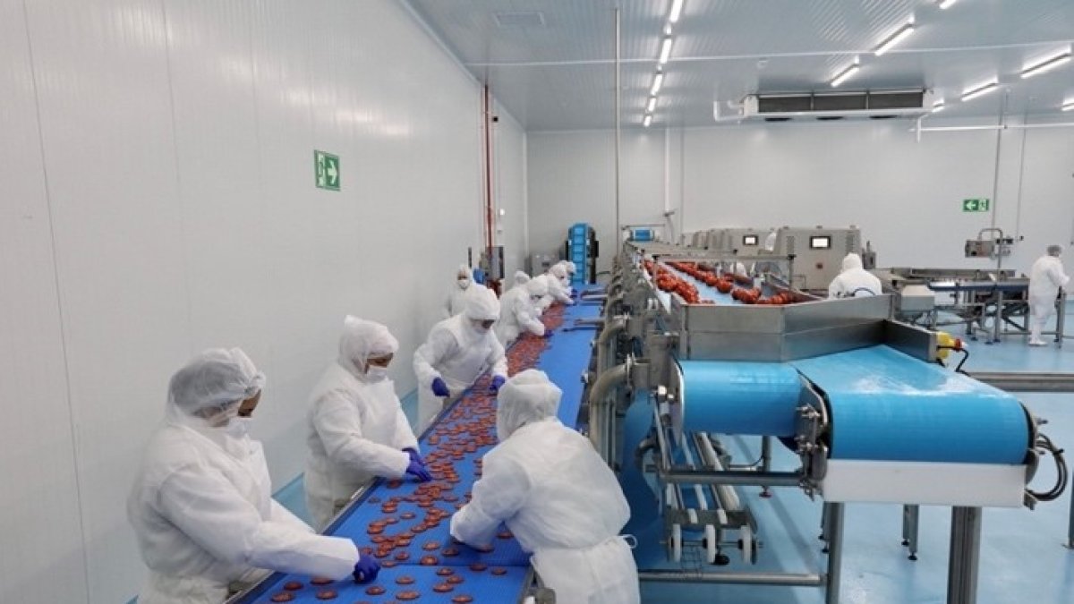 La Unión, planta Long Fresh