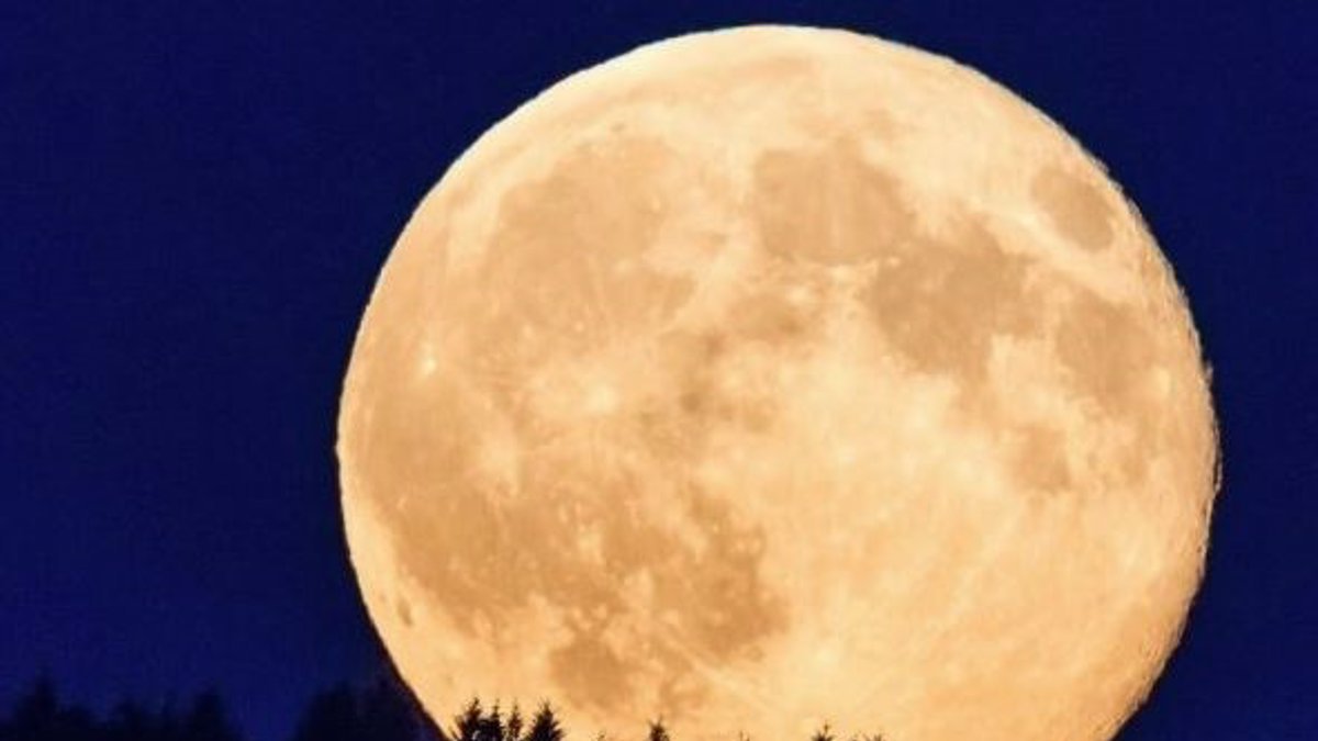 La Luna Rosa llega esta semana.