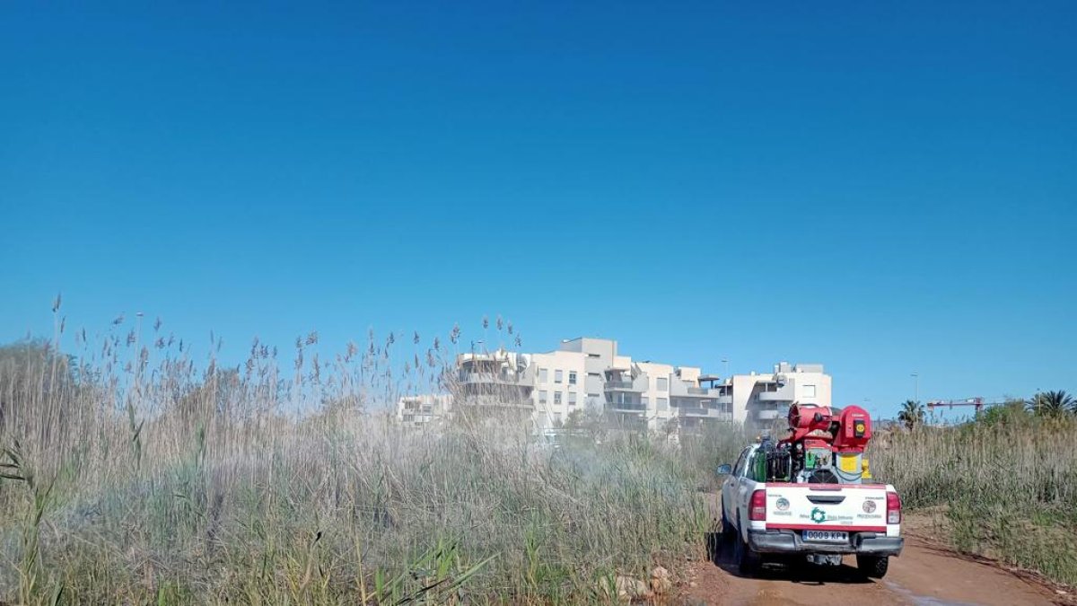 Operarios llevando a cabo labores de fumigación.