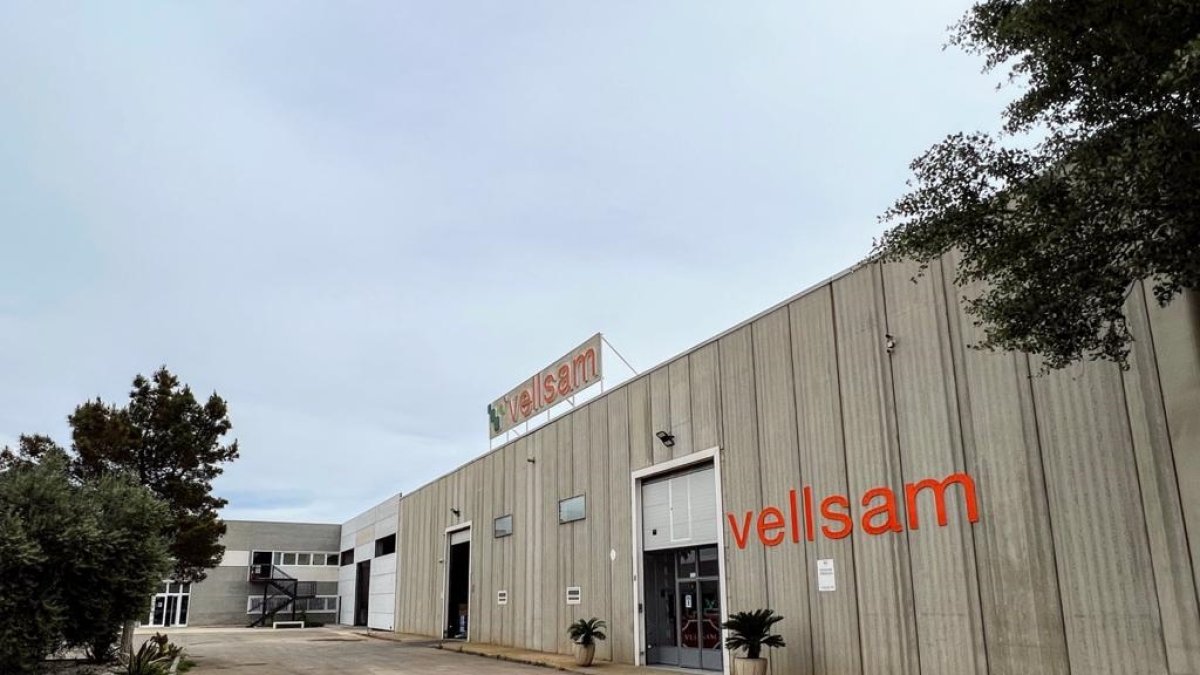 Instalaciones de Vellsam Materias Bioactivas