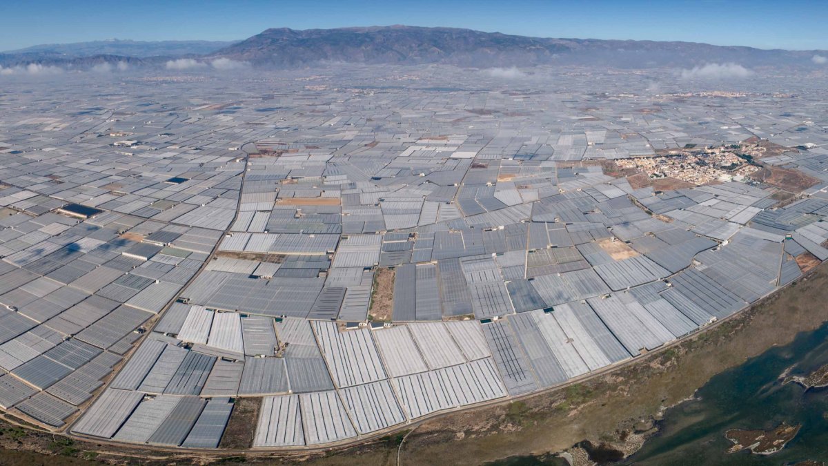 El campo almeriense está obteniendo buenos resultados en lo que va de campaña