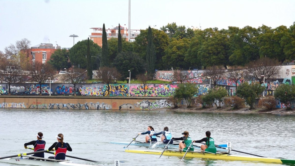 El remo andaluz sigue en plena competición.