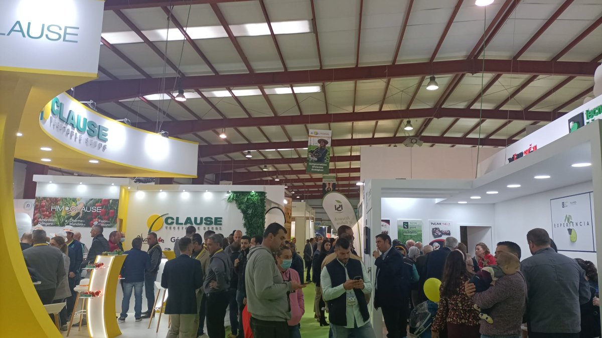Ambiente de la jornada.