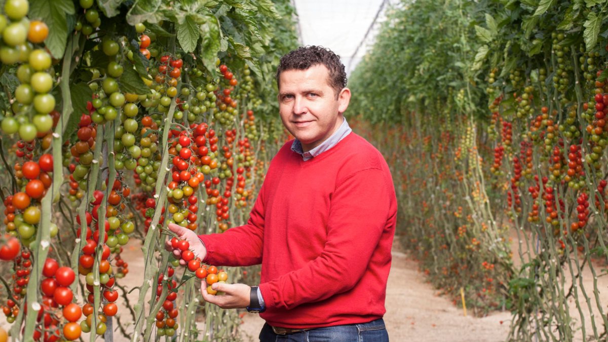 Emilio Pérez, director técnico de Coprohnijar, en la finca experimental de la cooperativa.