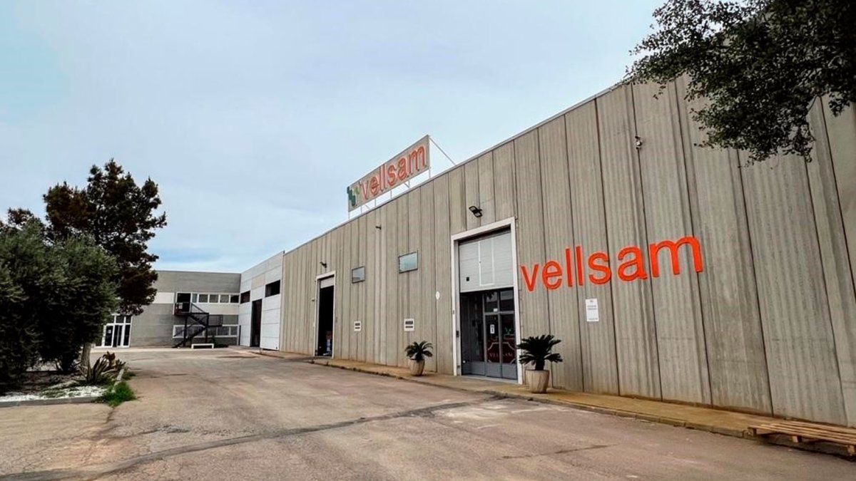 La empresa almeriense Vellsam estará presente en Expolevante.