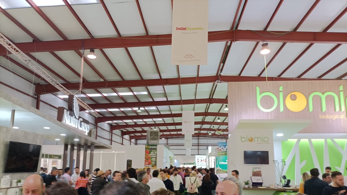 Segundo día de Expolevante.