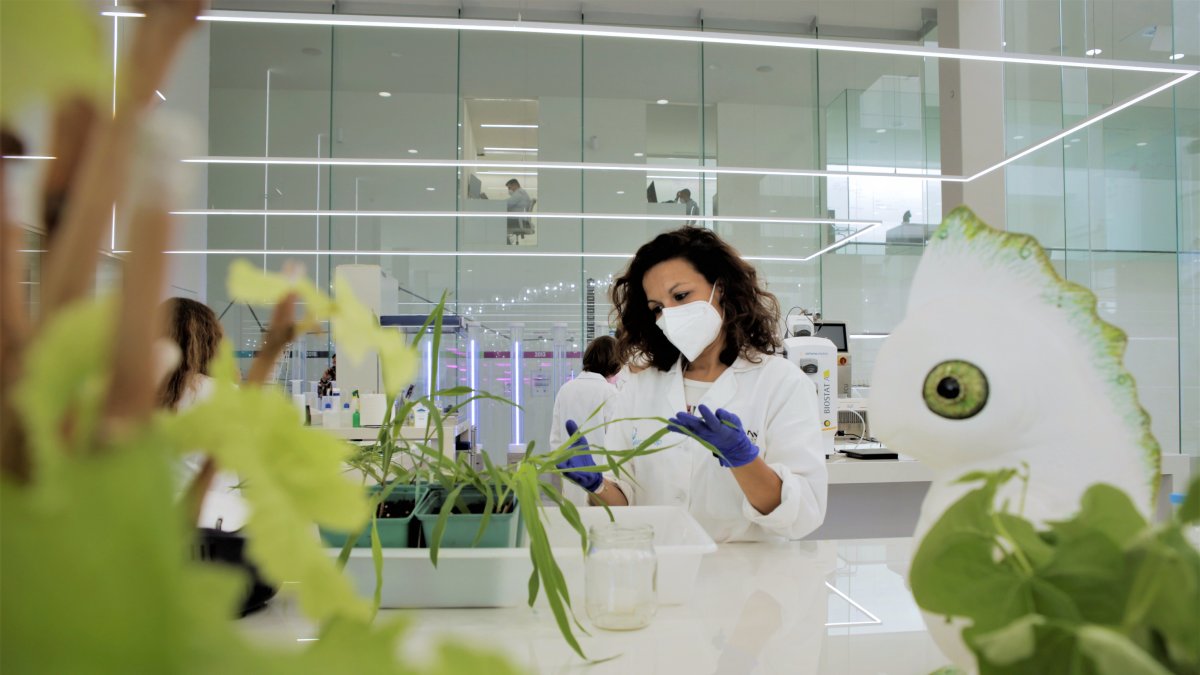 Trabajo de investigación en uno de los laboratorios del MAAVi Innovation Center de Kimitec