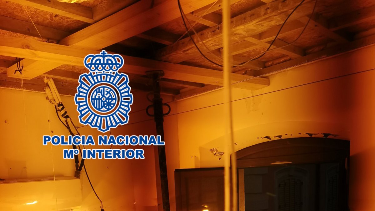Registro de la Policía Nacional en la calle de la Reina