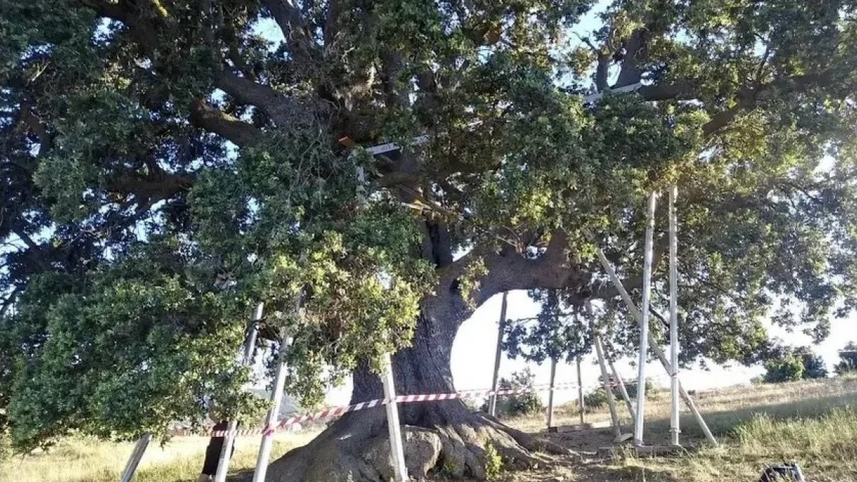 Imagen de archivo de la Peana de Serón.