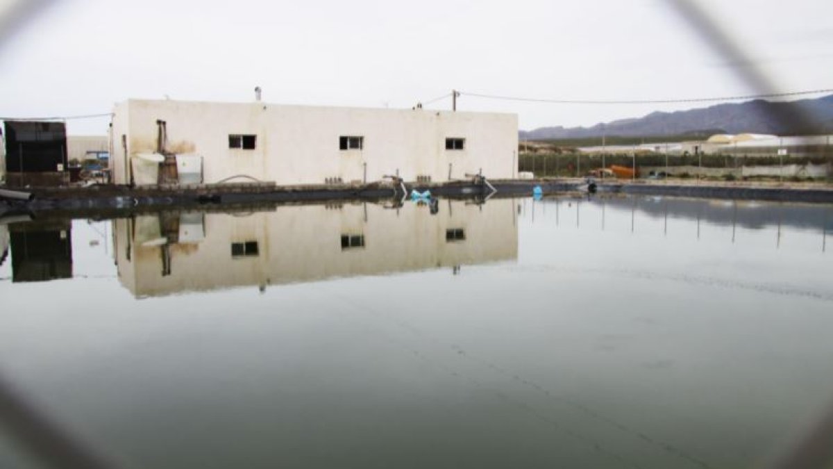 Imagen de archivo de una balsa de riego.