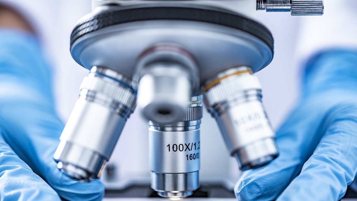 Imagen de archivo de Pixabay.