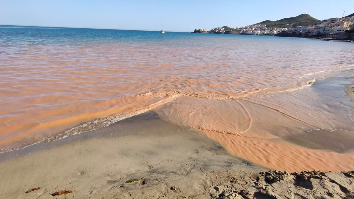 Este es el aspecto que presentaba esta misma tarde la orilla de la playa de San José.
