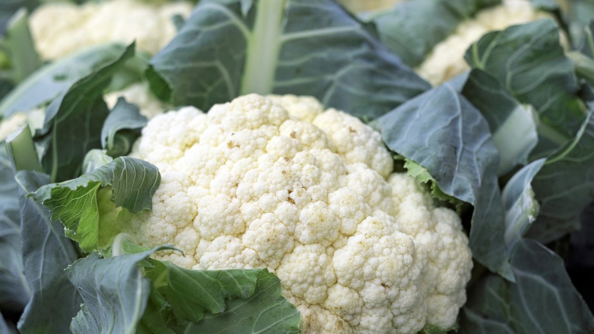 Coliflor.
