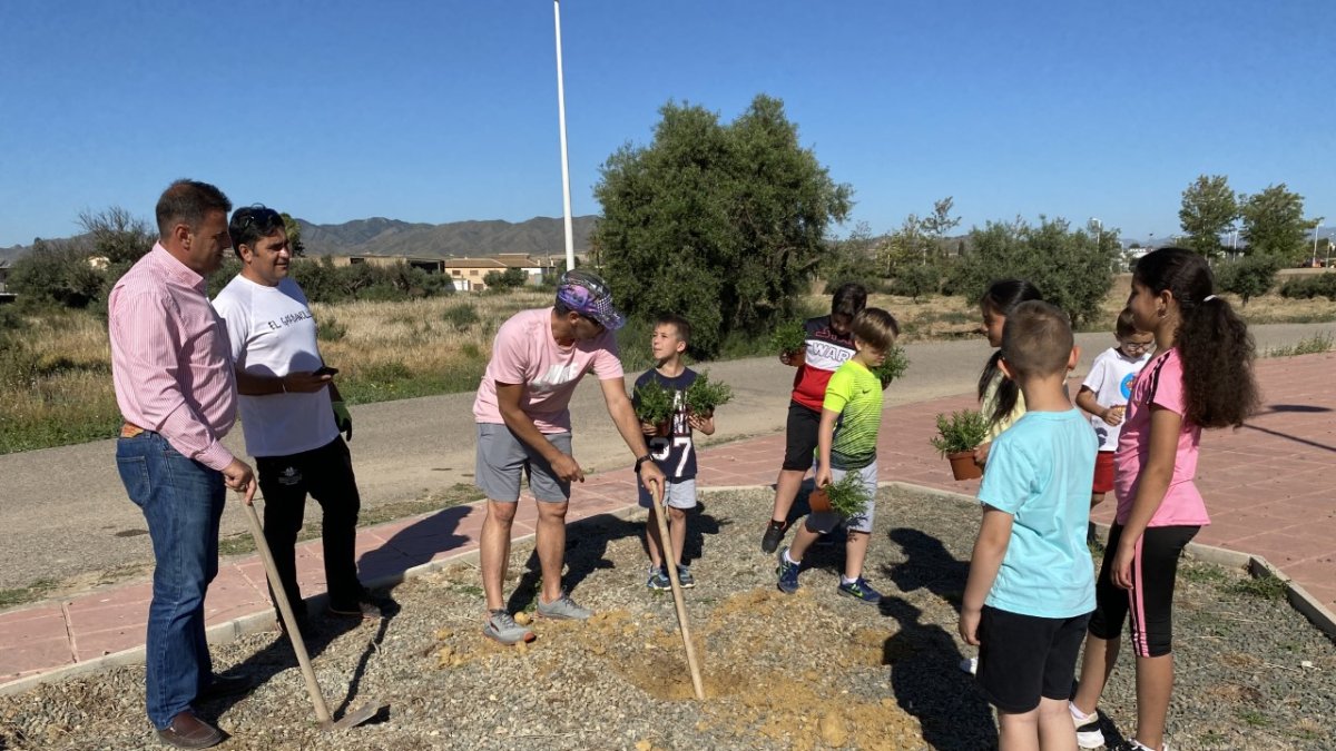 El concejal de Medio Ambiente durante la plantación en Pulpí.