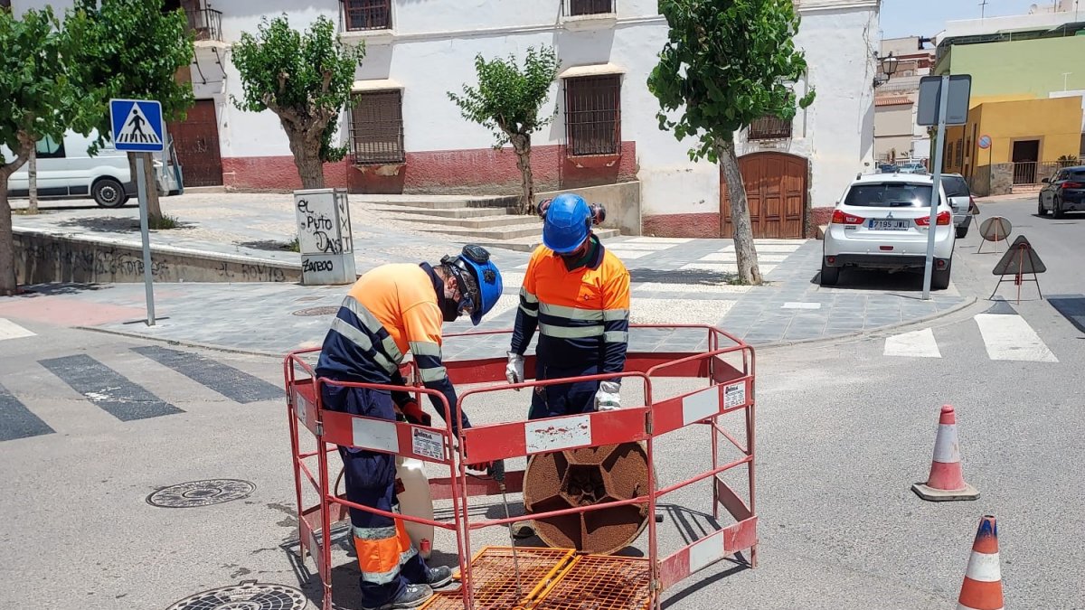 Operarios realizando las labores en Adra.